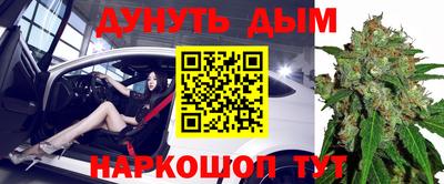 прущие грибы Белореченск